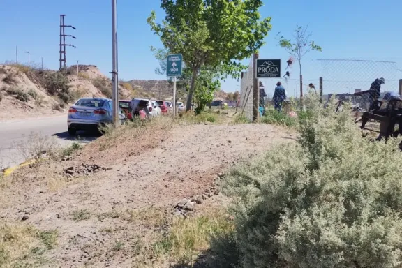 PRODA promoverá la siembra de plantas nativas en la huerta de Rincón.