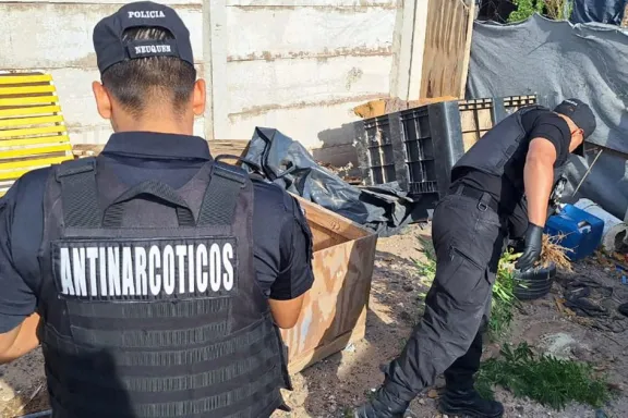 Policía neuquina incauta 18 plantas de cannabis y detiene a una pareja involucrada.