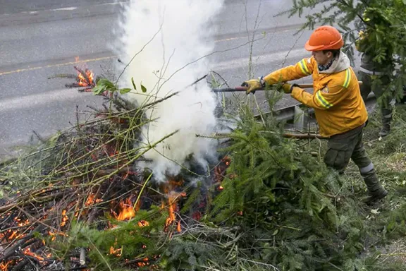 Colabora en la prevención de incendios forestales y protege nuestro medio ambiente.