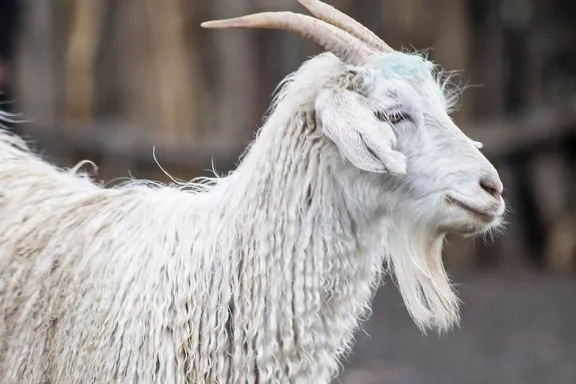 La Provincia destina 741 millones a productores por calidad y sostenibilidad.