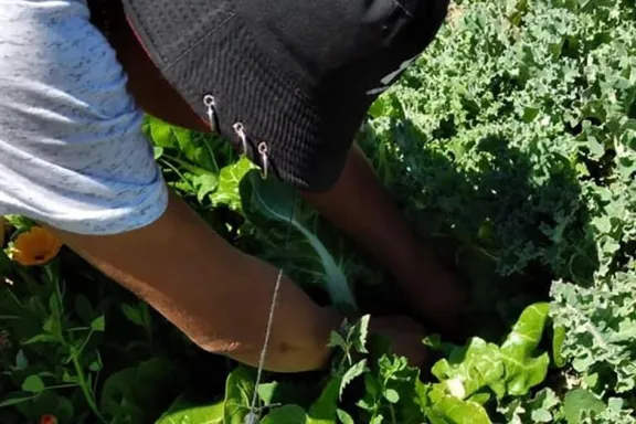 En las EPEA, el aprendizaje continúa sin interrupciones durante las vacaciones
