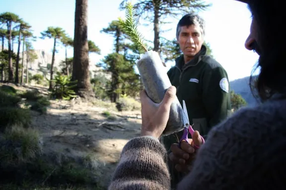 Guardaparques de Neuquén: protectores del medio ambiente y guardianes de nuestra historia natural.