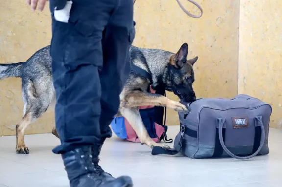 Operativo antinarcóticos en la ETON: intervenciones y controles en el ámbito educativo.