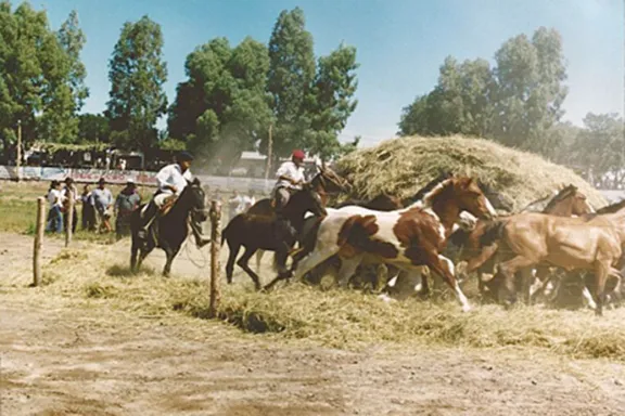 El Cholar lanza una nueva edición de la Fiesta del Ñaco: ¡vení a disfrutar!