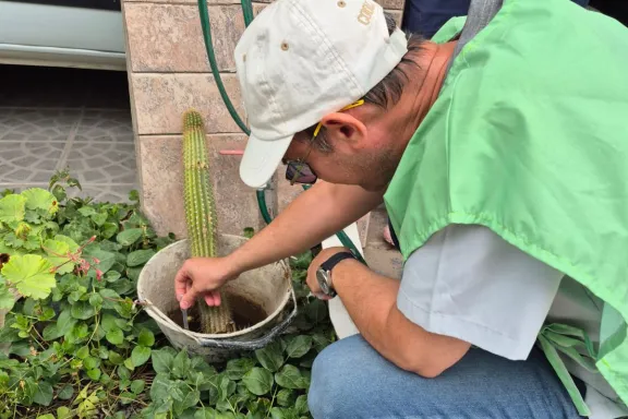 Control de foco tras detectar ovitrampa positiva en Centenario