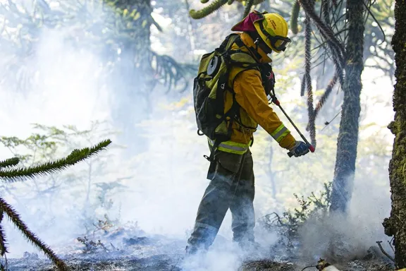 La provincia suma 30 brigadistas para fortalecer el Sistema de Manejo del Fuego.