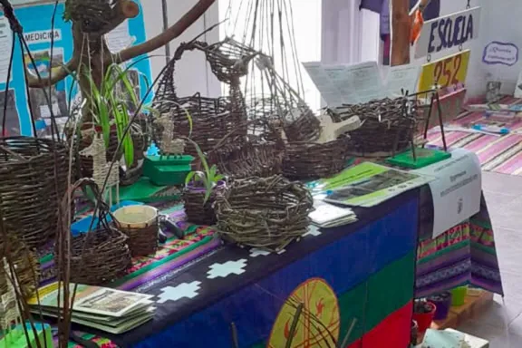 La Primaria 252 de Paimún impulsa proyectos educativos para cuidar el medio ambiente.