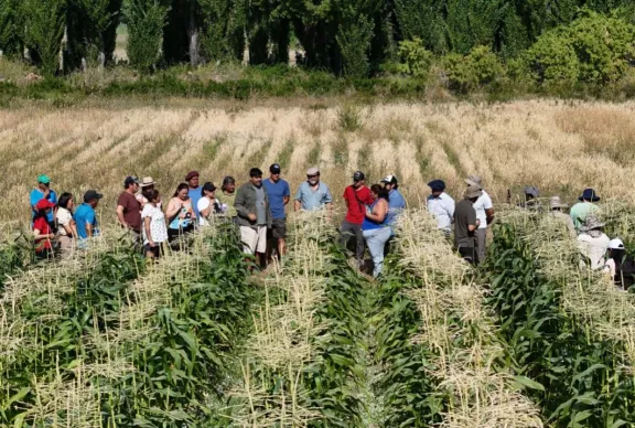 Uso eficiente del agua y experiencias productivas en Picún Leufú
