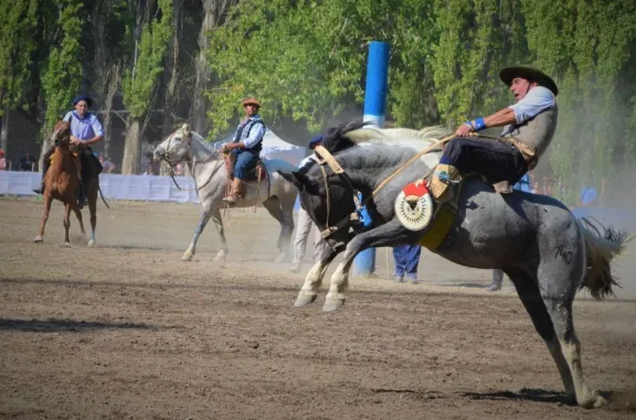 Tricao Malal festeja a lo grande la Fiesta del Loro Barranquero