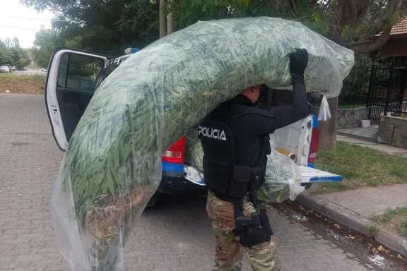 Desarticulan bandas de narcomenudeo en una serie de allanamientos exitosos.