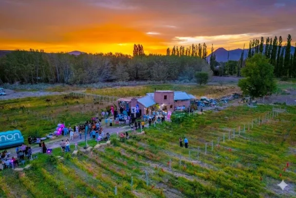 Chos Malal festejó la Vendimia Neuquina con un atardecer en la bodega Des De La Torre.