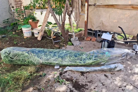 La Policía incauta municiones, drogas y un auto en Centenario.