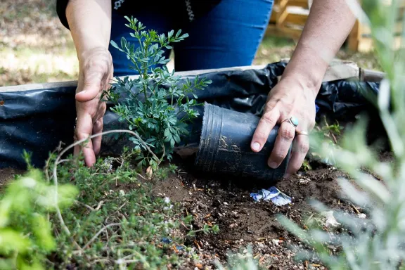 Nueva capacitación para docentes sobre Huerta: mejora tus habilidades educativas.