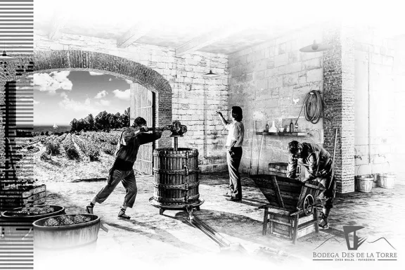 Las primeras viñas neuquinas: un legado de la Cordillera al Vaticano.