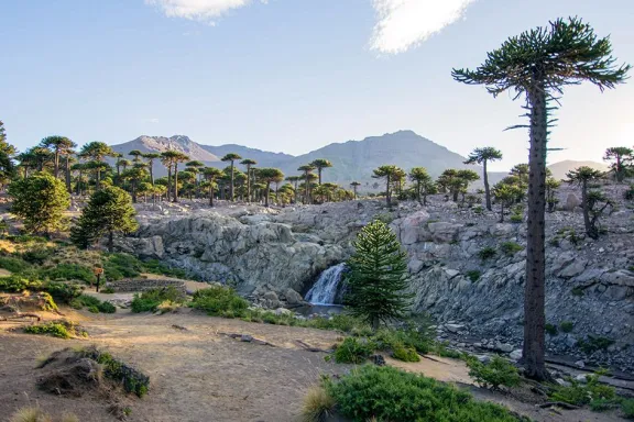 Los centros de esquí se alistan para recibir la temporada de invierno con novedades y ofertas.