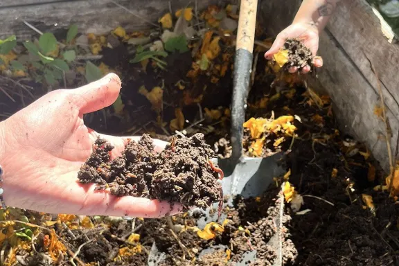 Municipios y organizaciones se unen por el Mes del Compostaje para promover el cuidado del ambiente.