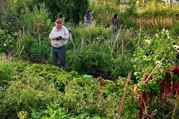 Cuenca XV: La huerta urbana es oficialmente de interés municipal