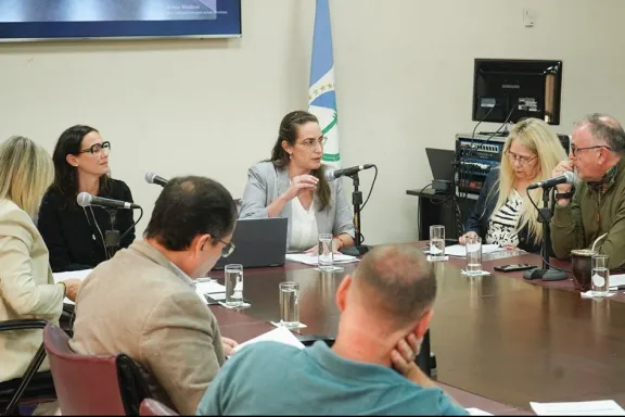 Neuquén impulsa la Evaluación de Tecnologías Sanitarias para asegurar el acceso a la salud.