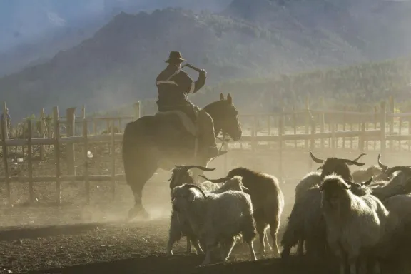 Huinganco lanza nueva obra para impulsar la trashumancia en la región.