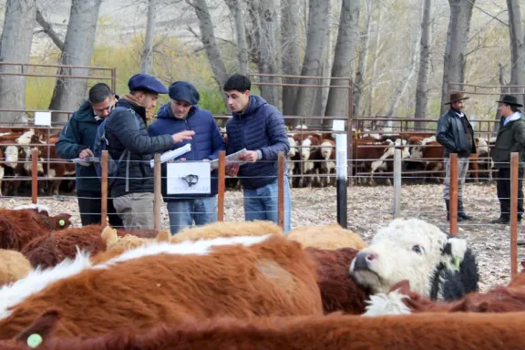 ¡Atención! Se aproxima la 5ª Feria de Invernada en el norte neuquino.
