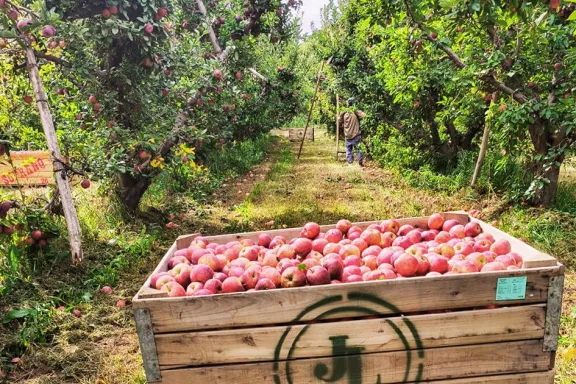 BPN apoya la fruticultura: bonificación de tasas para quienes certifiquen buenas prácticas.