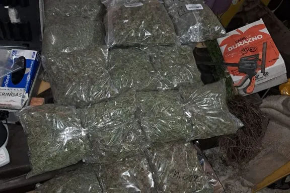 Gran avance en la lucha contra el narcotráfico con varios allanamientos exitosos.