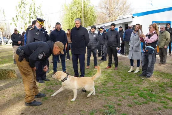 Policía del Neuquén mejora la atención veterinaria de sus perros y caballos con nuevo equipamiento.