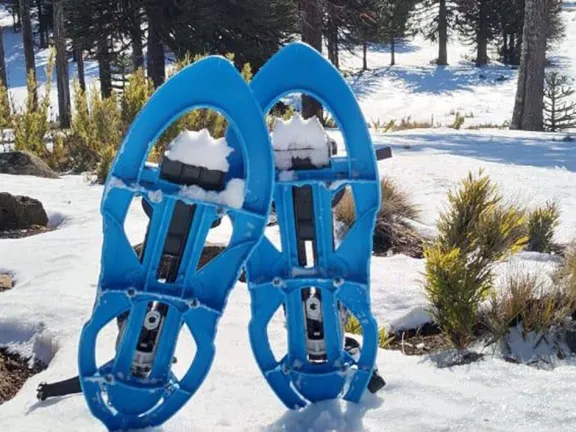 Descubrí la experiencia Pino Hachado: explorá la cordillera neuquina con raquetas de nieve.
