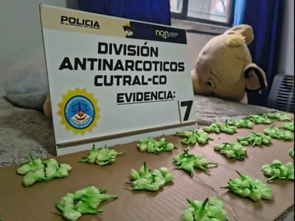 Golpe al narcomenudeo en Cutral Co: operativos desmantelan redes de venta de drogas.