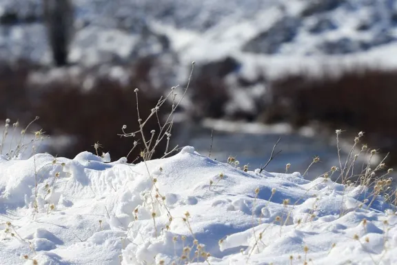 Se esperan intensas nevadas y viento fuerte para este fin de semana.
