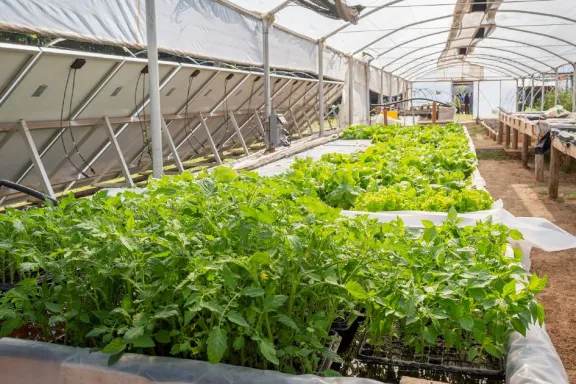 El CFPA 1 lanza una actualización para mejorar la formación de docentes agropecuarios.