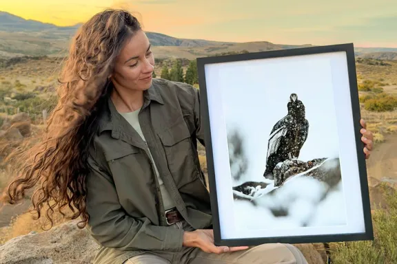 Celeste Poggi presenta una muestra fotográfica sobre el cóndor
