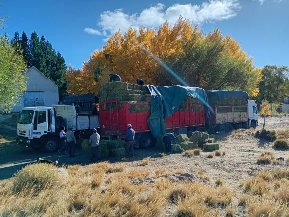 Fondos Rotatorios: la Provincia apoya a los productores con nuevas ayudas.