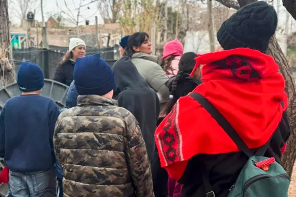 Guardianes Ambientales: aprende a cuidar el entorno a través de la educación práctica.