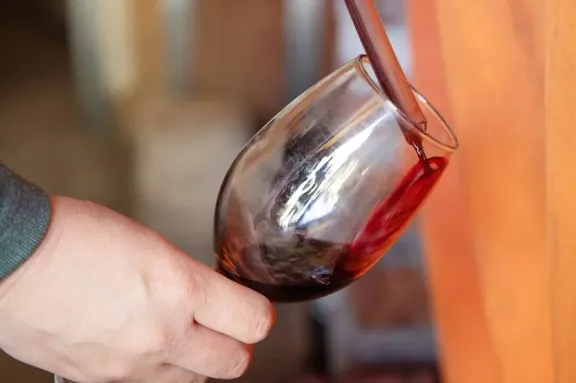 Neuquén promueve el Pinot Noir como cepa emblemática mediante un nuevo proyecto de ley.