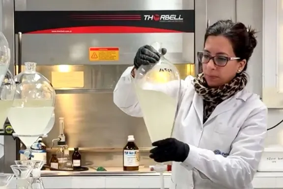Mujeres en ciencia: ya representan más del 50% en la investigación de Neuquén.