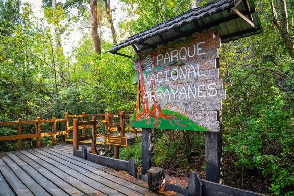 El bosque que inspiró una famosa película de culto