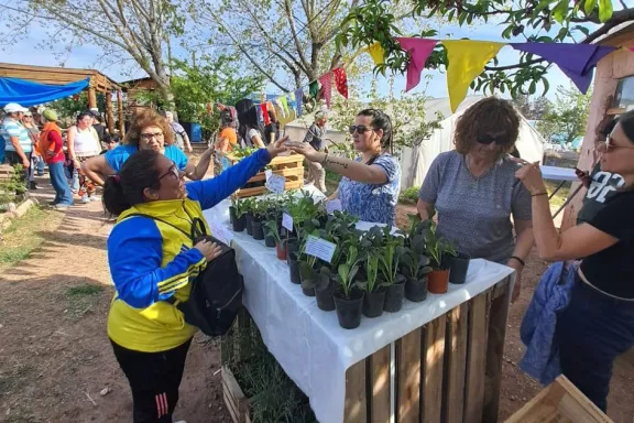 Celebramos 13 años de cultivo: alimentos frescos, salud y comunidad unida.