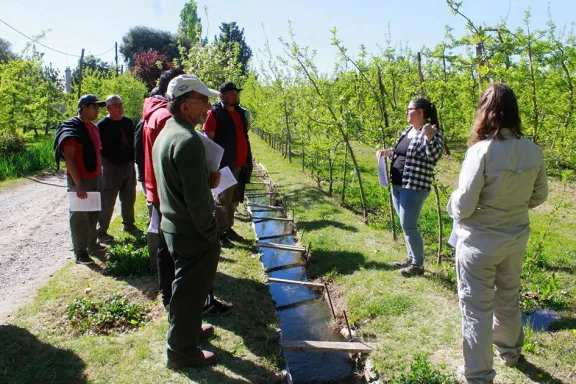 Talleres de riego: optimiza el uso del agua y aumenta tu productividad agrícola.