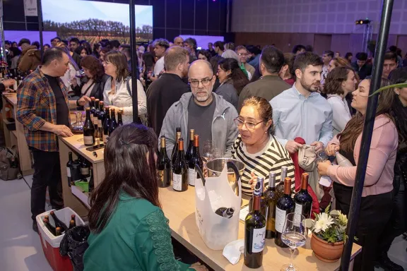 Neuquén se alista para el Salón del Vino en el MNBA: una experiencia única para los amantes del vino.