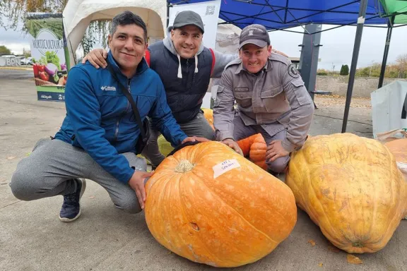 Inicia la novena edición del concurso Ciudad Zapallo con nuevas propuestas y oportunidades.