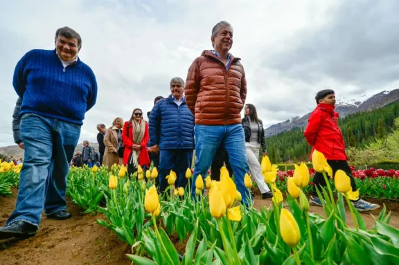 Figueroa: “Huinganco tendrá 200.000 tulipanes en 2027”