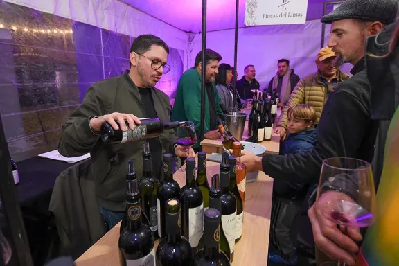 Blend Fest desembarca en el Parque Central: música, vinos neuquinos y gastronomía para disfrutar.