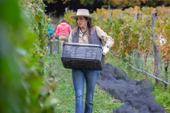 Viñedo neuquino junto al Chimehuin busca destacar por su calidad entre montañas.